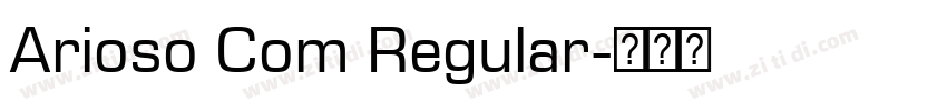 Arioso Com Regular字体转换